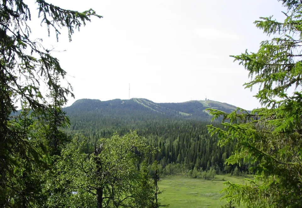 Rukan tunturi