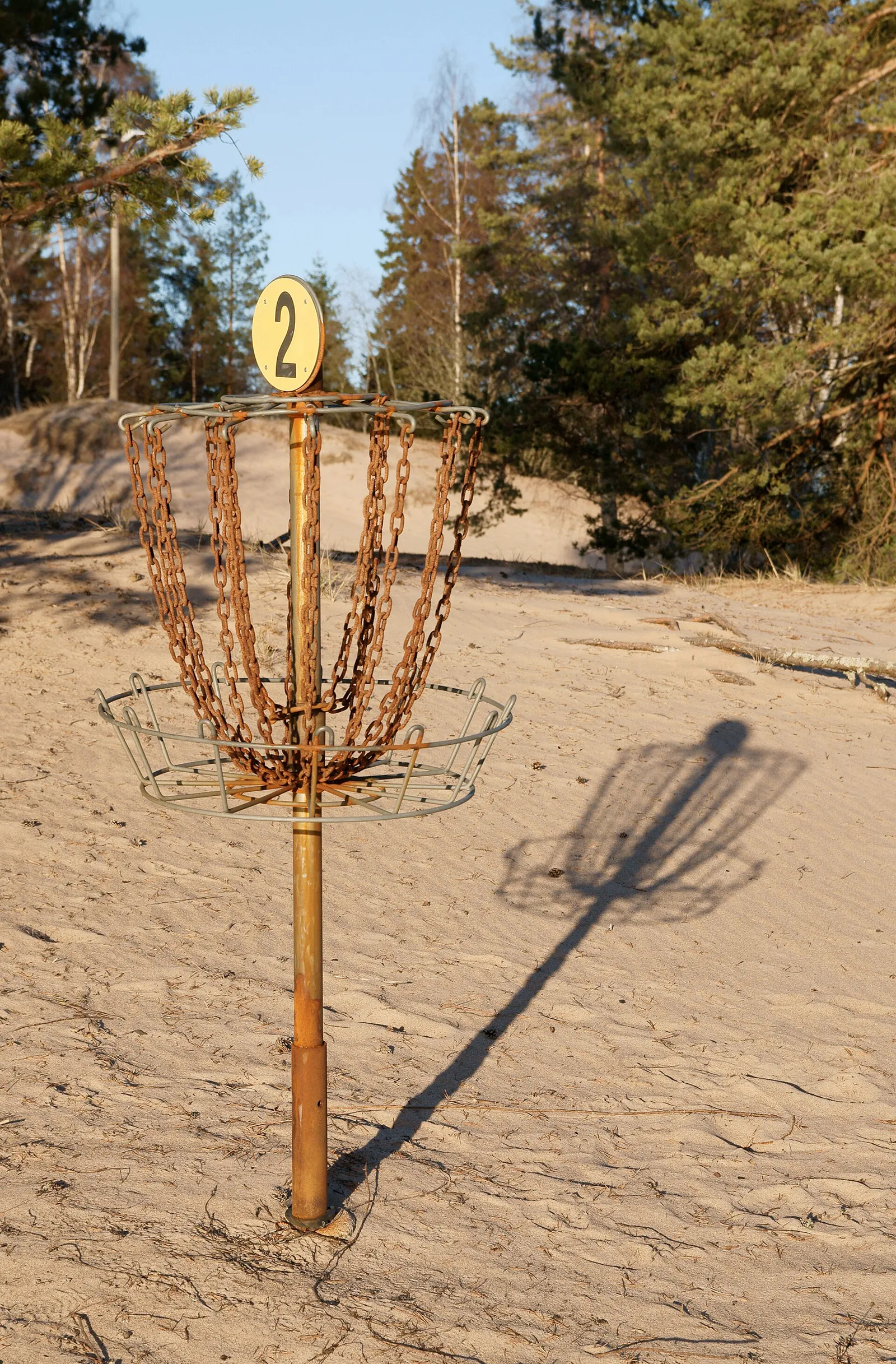 Frisbeegolfkori (kuvituskuva)