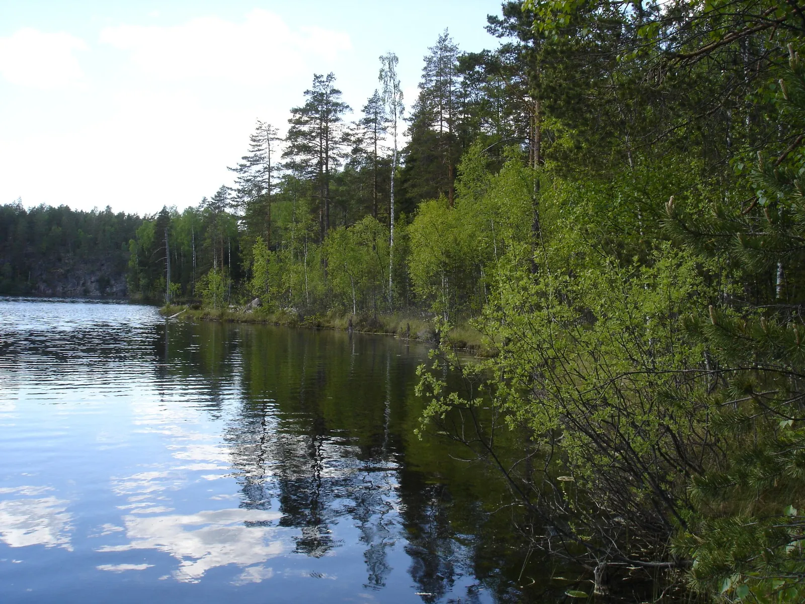 Tyyni järvenranta eteläisessä Suomessa kesällä