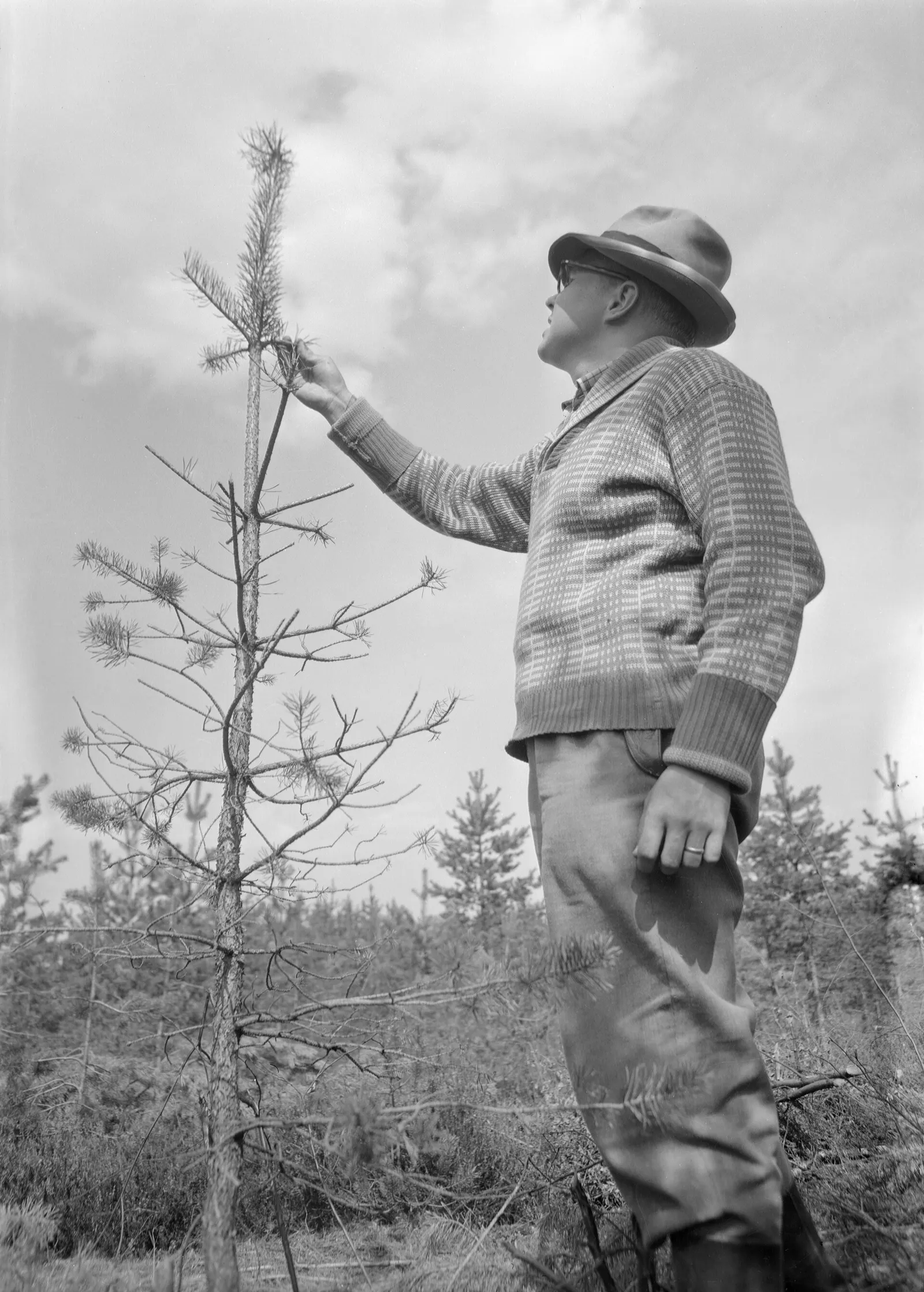 Suomalainen metsätila