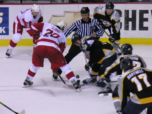 Nashville Predatorsin ottelu (kuvituskuva)