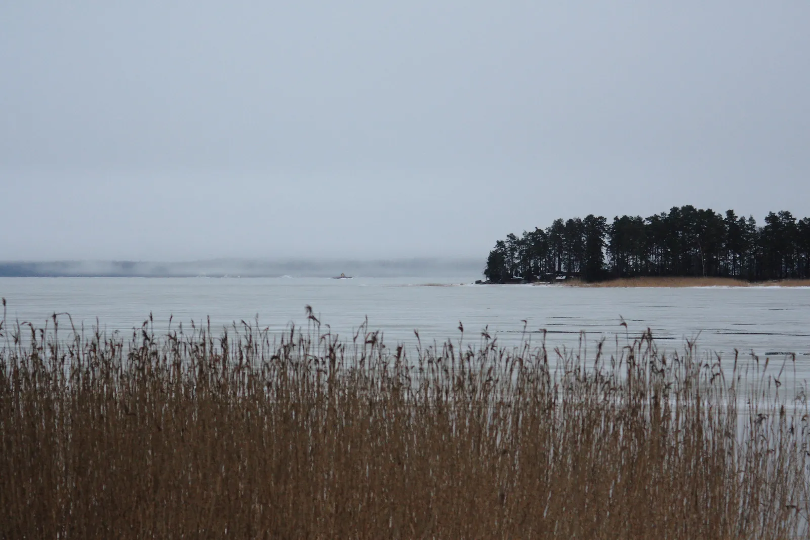 Suomenlahden merimaisemaa kesällä