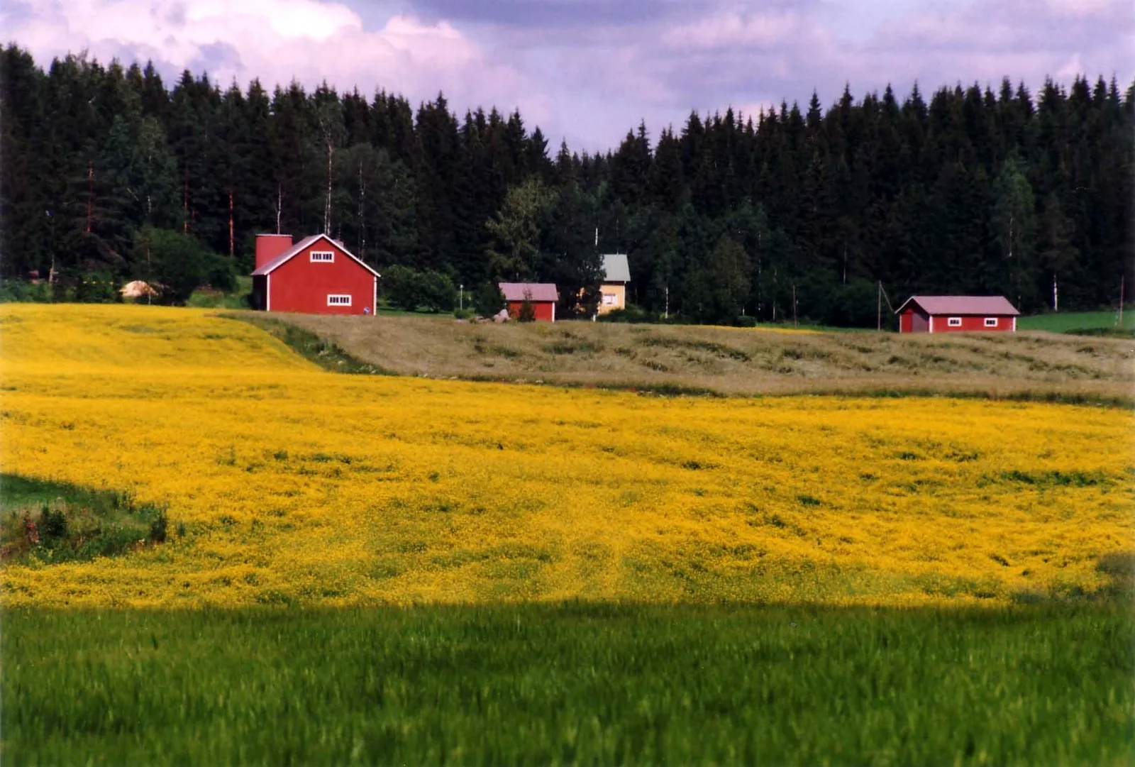 Suomalainen maaseutumaisema ja peltoja