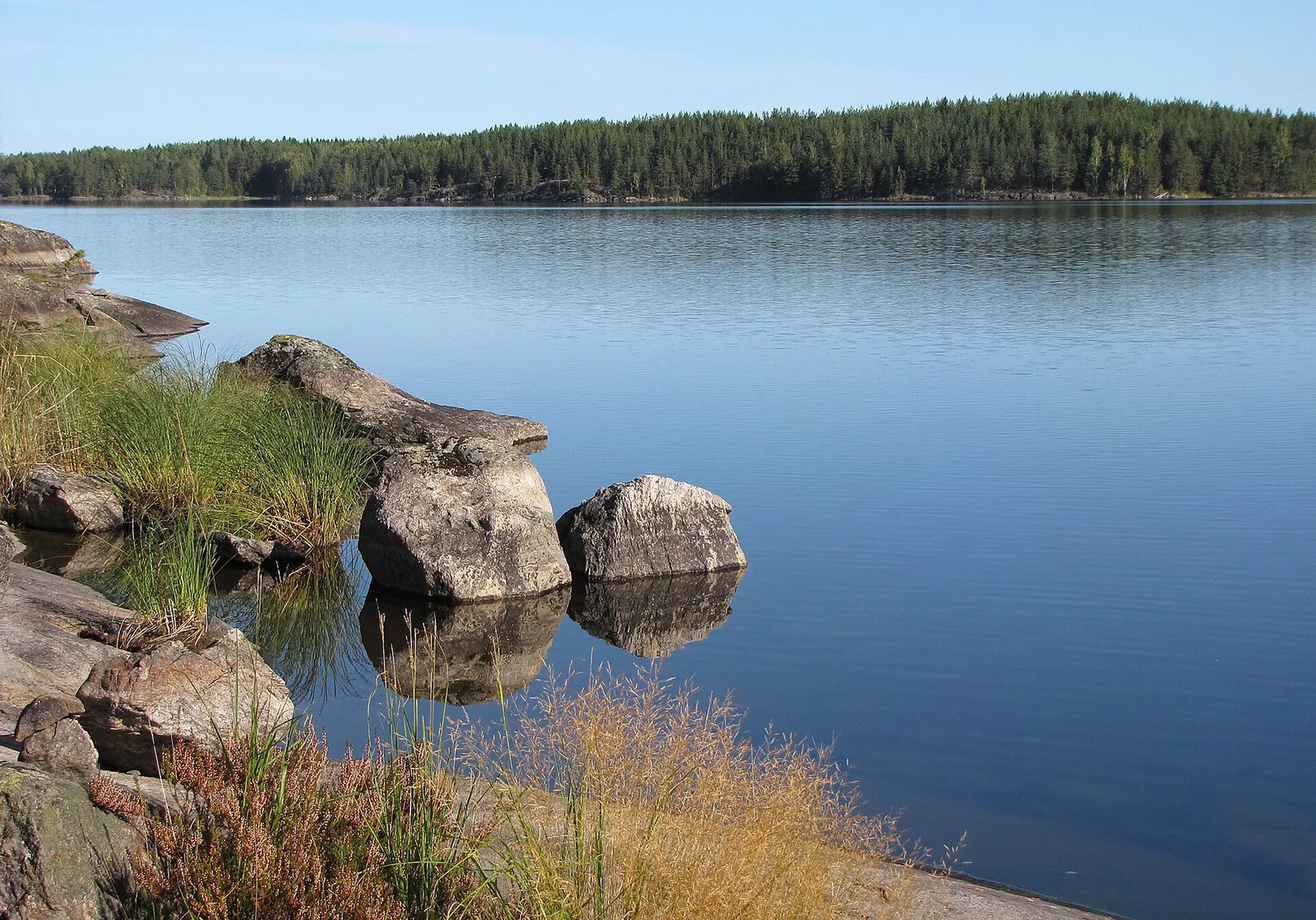 Saimaan kalliorantaa (kuvituskuva)