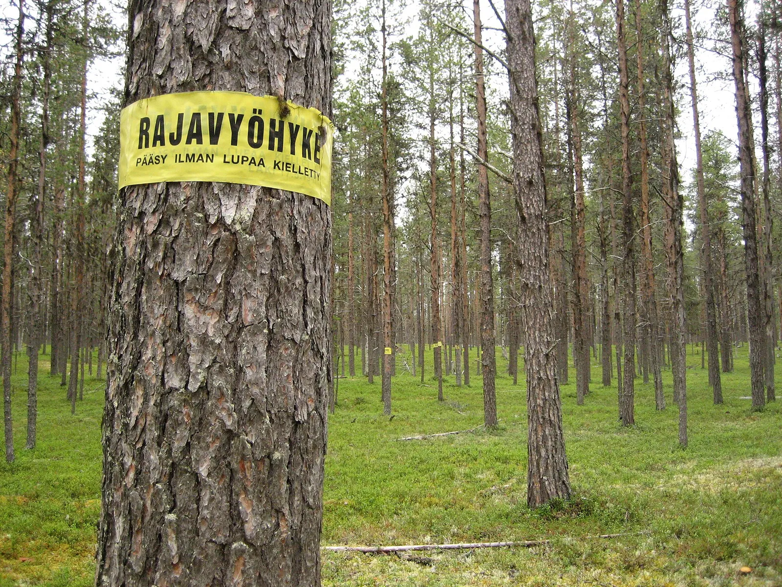 Suomen rajavyöhykkeen kyltti (kuvituskuva)