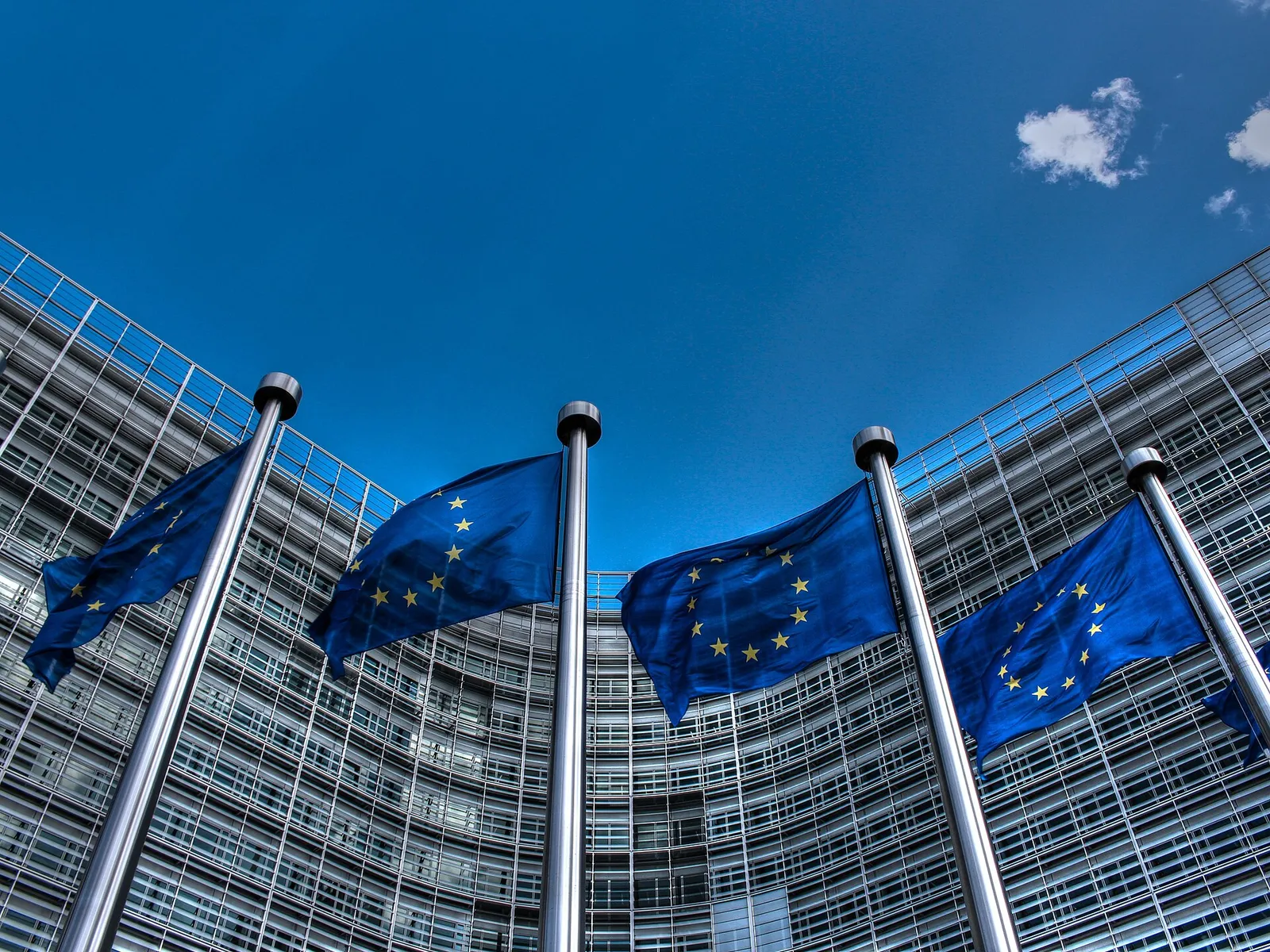 Euroopan unionin lippuja