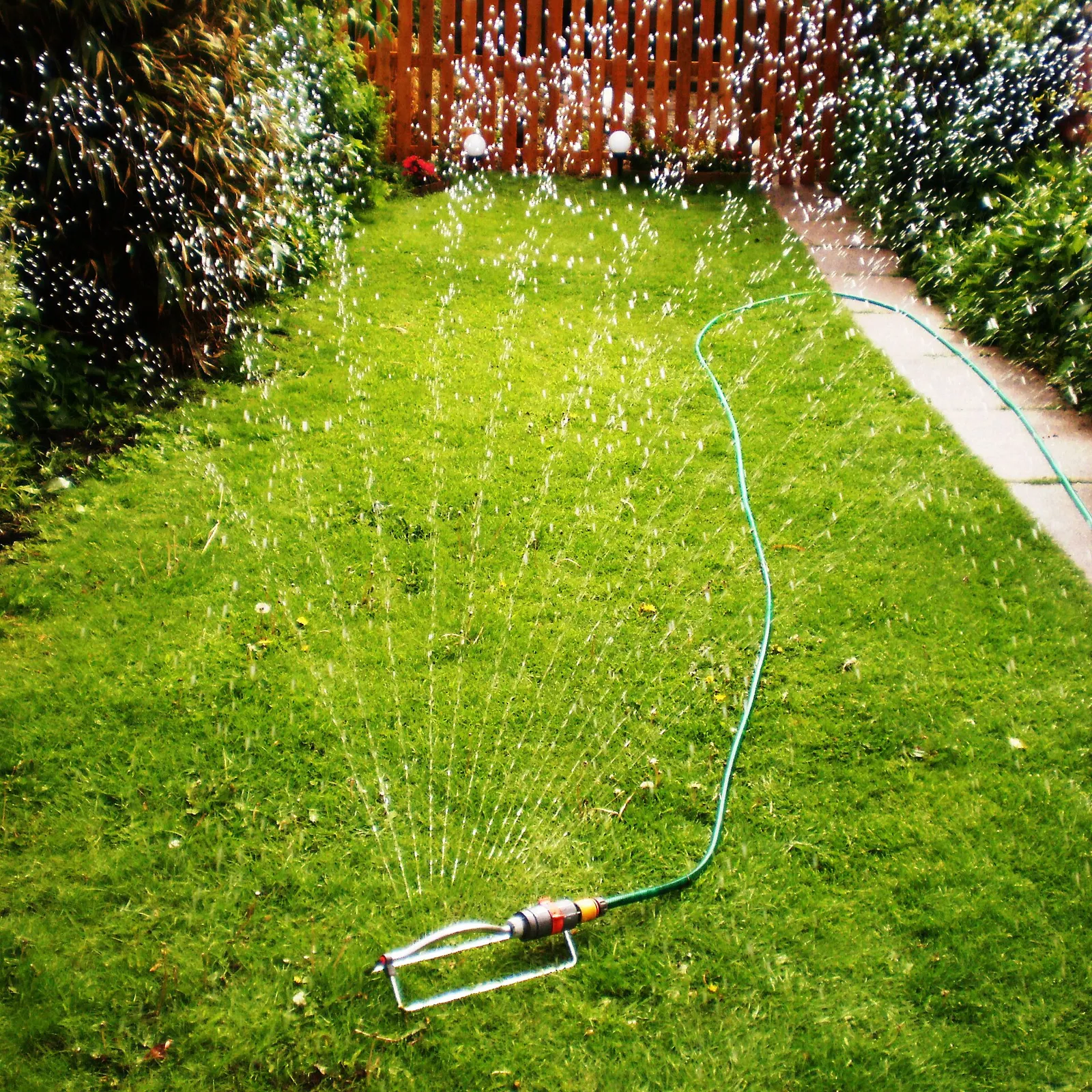 Puutarhasprinkleri suihkuttaa vettä nurmikolle