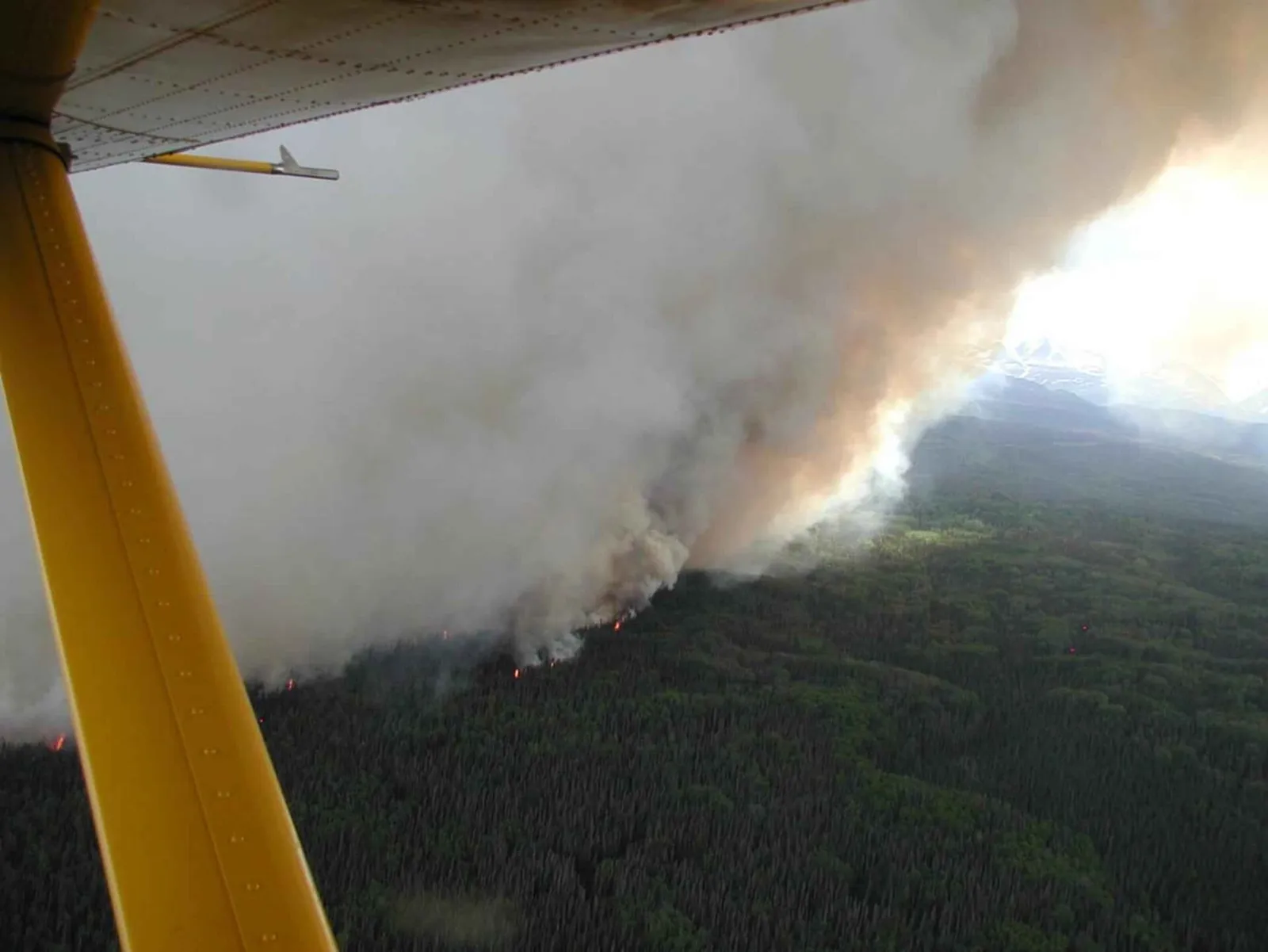 Metsäpalon savua nousee taivaalle (kuvituskuva)