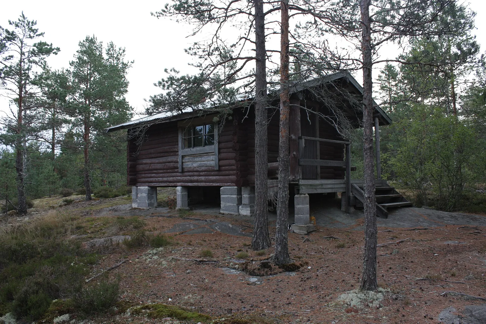 Vanha hirsirakennus metsän reunassa