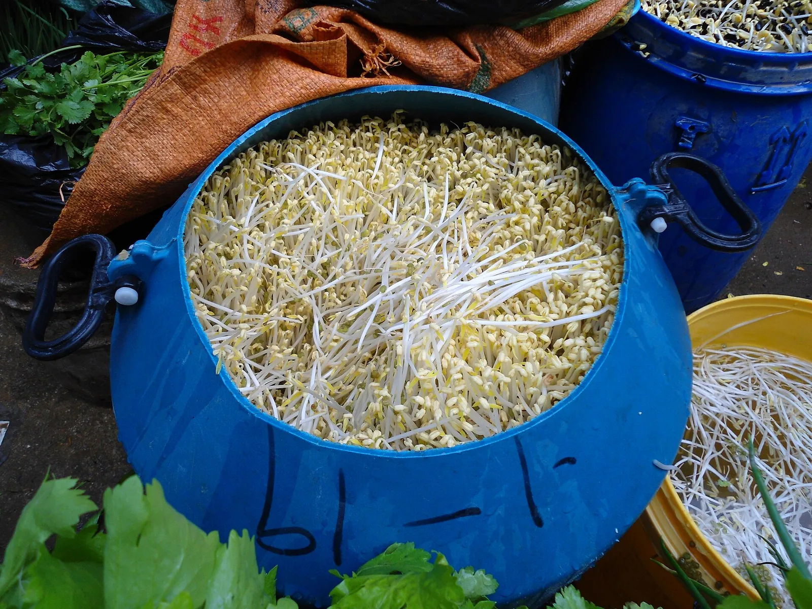 Ituja (kuvituskuva)