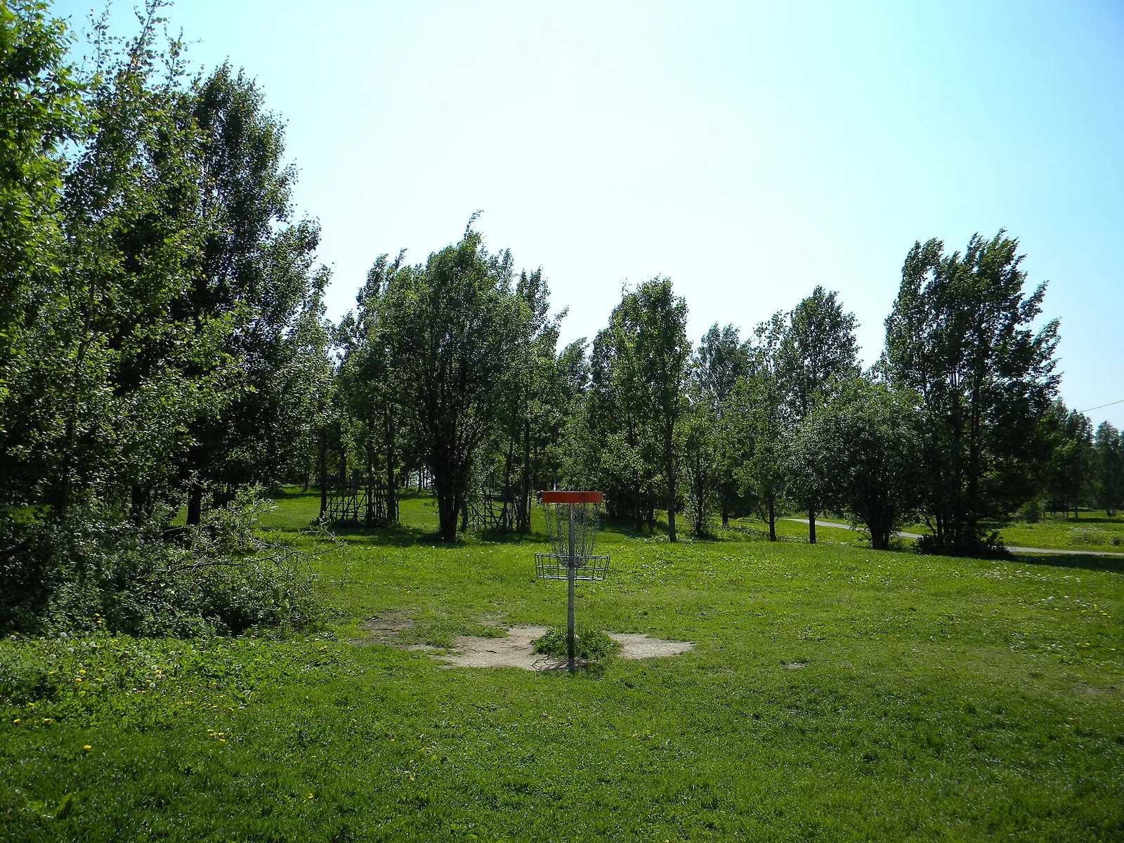 Frisbeegolfkori radalla